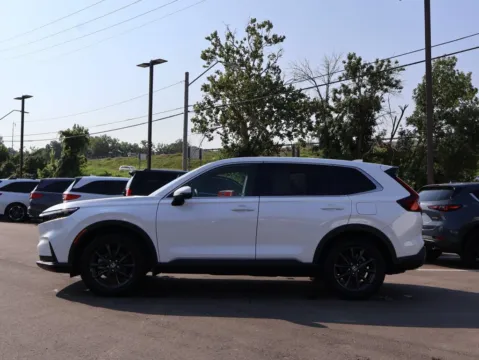More photos of 2026 Honda CR-V EX-L at Jay Wolfe Honda, MO