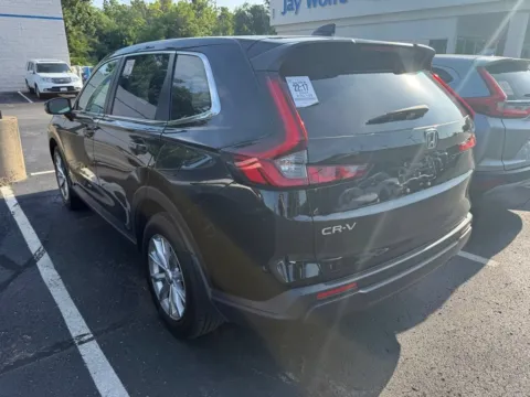 More photos of 2024 Honda CR-V EX at Jay Wolfe Honda, MO