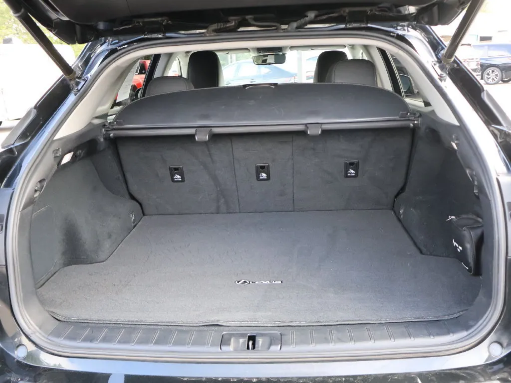 Lexus RX photo 15