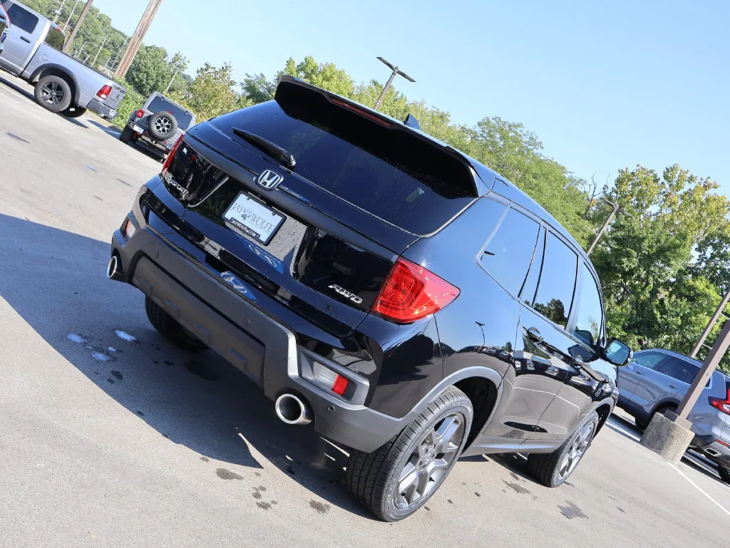 Honda Passport photo 7