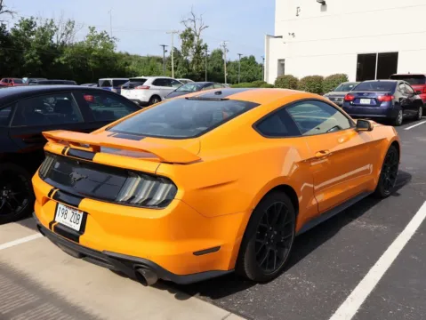 More photos of 2019 Ford Mustang EcoBoost at Jay Wolfe Honda, MO