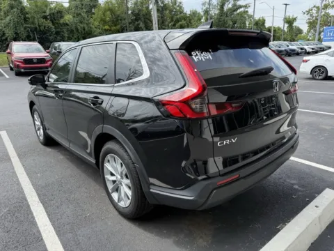 More photos of 2024 Honda CR-V EX-L at Jay Wolfe Honda, MO