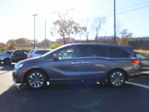 More photos of 2024 Honda Odyssey EX-L at Jay Wolfe Honda, MO