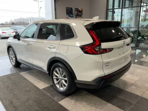 More photos of 2025 Honda CR-V EX at Jay Wolfe Toyota, MO