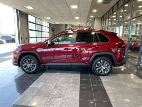 More photos of 2025 Toyota RAV4 Hybrid XLE Premium at Jay Wolfe Toyota, MO