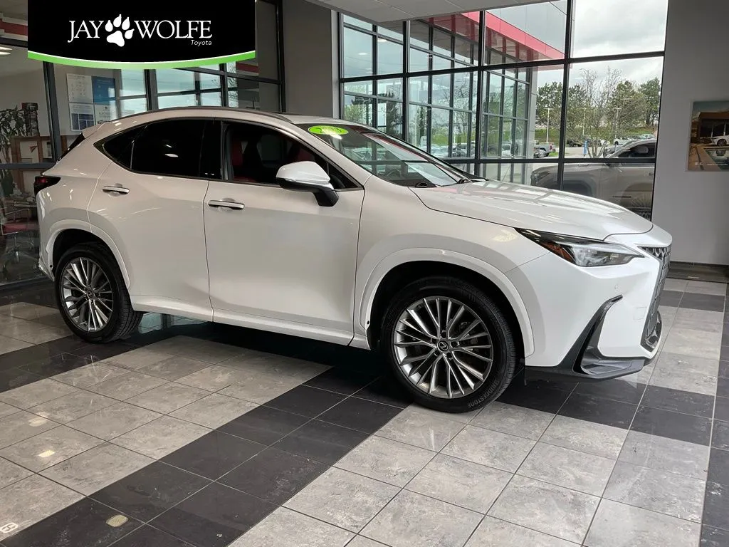 White 2023 Lexus NX 350h Premium for sale in Kansas City, MO