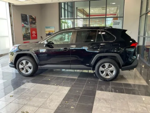 More photos of 2025 Toyota RAV4 Hybrid XLE at Jay Wolfe Toyota, MO