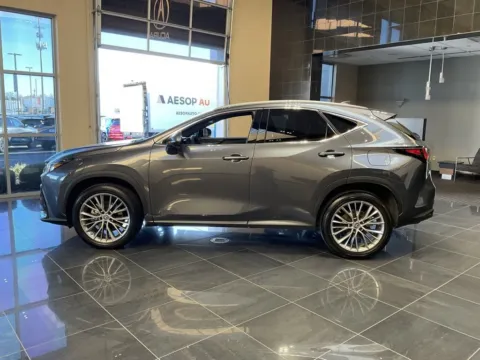 More photos of 2023 Lexus NX 350 Premium at Jay Wolfe Acura, MO