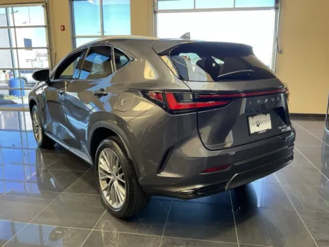 More photos of 2023 Lexus NX 350 Premium at Jay Wolfe Acura, MO