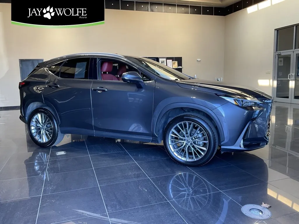 Gray 2023 Lexus NX 350 Premium for sale in Kansas City, MO