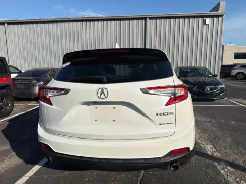 More photos of 2019 Acura RDX at Jay Wolfe Acura, MO