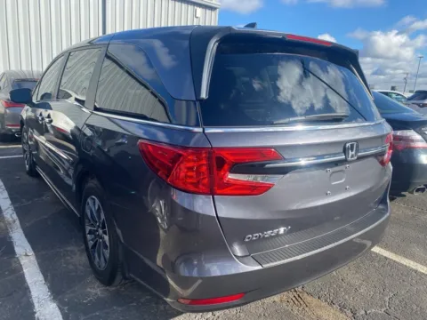 More photos of 2024 Honda Odyssey EX-L at Jay Wolfe Acura, MO