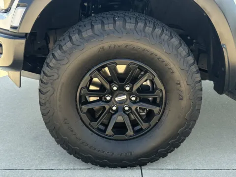 More photos of 2024 Ford F-150 Raptor at Champion Chrysler Dodge Jeep Ram, MS