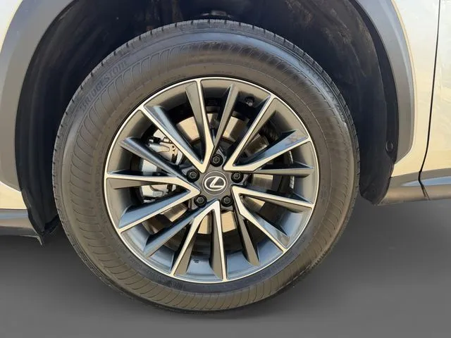 Lexus NX photo 12