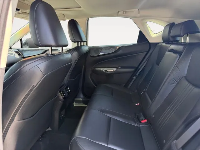 Lexus NX photo 11