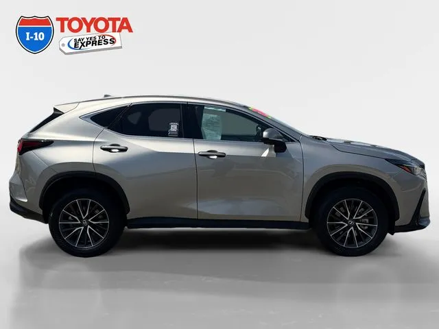 Lexus NX photo 6