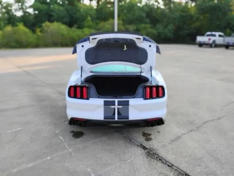 More photos of 2019 Ford Mustang Shelby GT350 at Hixson Ford Leesville, LA
