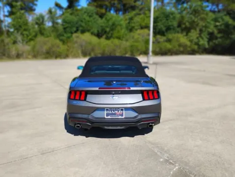 More photos of 2024 Ford Mustang EcoBoost at Hixson Ford Leesville, LA