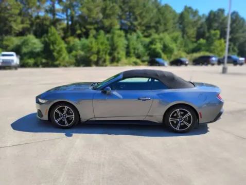 Photos of 2024 Ford Mustang EcoBoost for sale in Leesville, LA at Hixson Ford Leesville