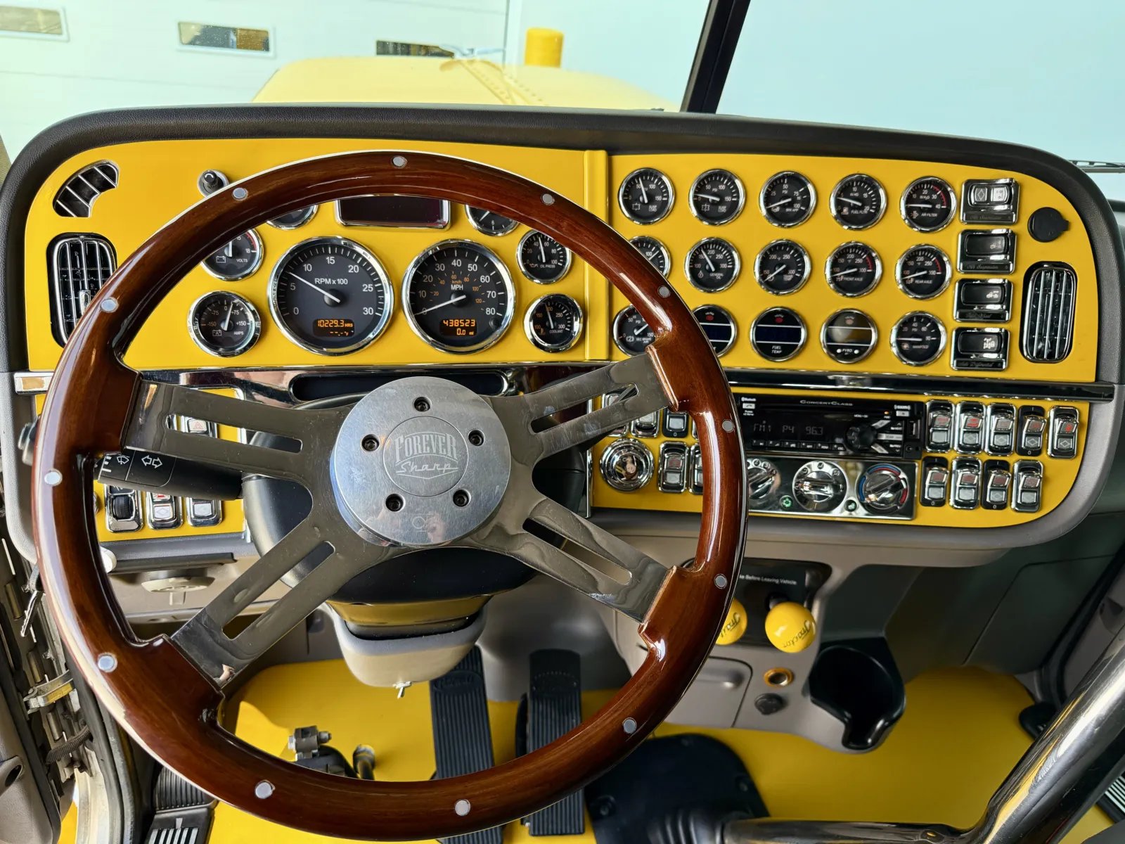 2019 Peterbilt 389 - image 16