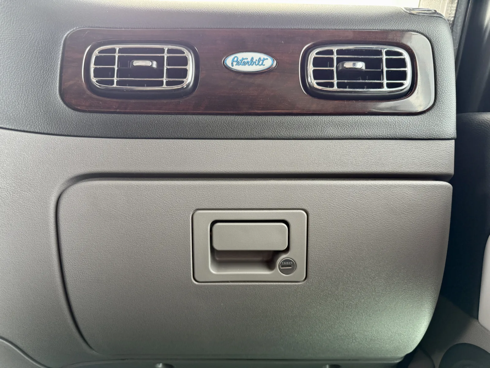 2019 Peterbilt 389 - image 19