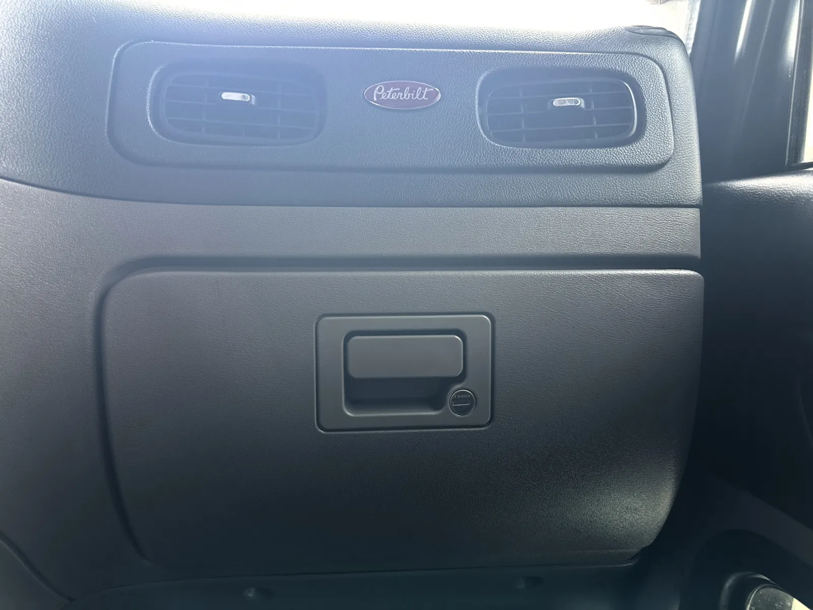 2019 Peterbilt 389 - image 19