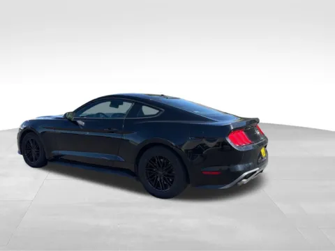 More photos of 2019 Ford Mustang EcoBoost at Bud Clary Ford of Moses Lake, WA