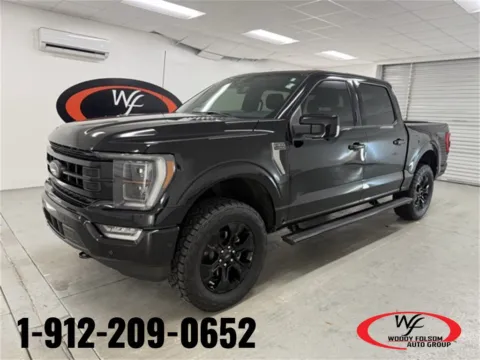 Black 2022 Ford F-150 Platinum for sale in Baxley, GA
