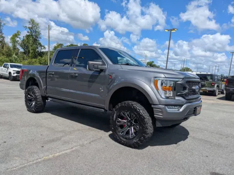 Gray 2021 Ford F-150 XLT for sale in Vidalia, GA