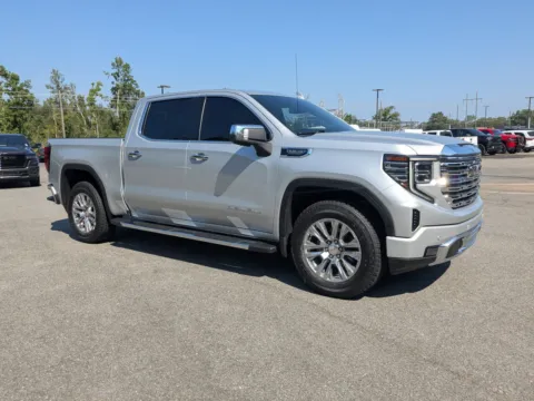 Silver 2022 GMC Sierra 1500 Denali for sale in Vidalia, GA
