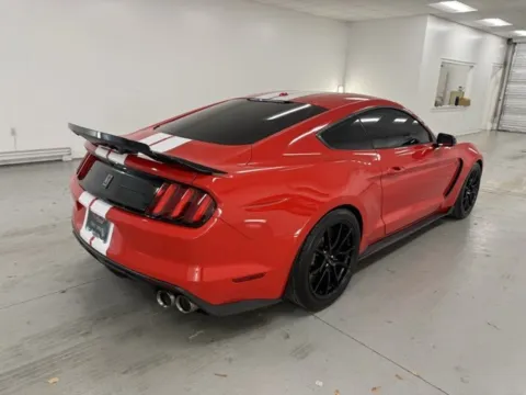 More photos of 2019 Ford Mustang Shelby GT350 at Woody Folsom Ford, GA