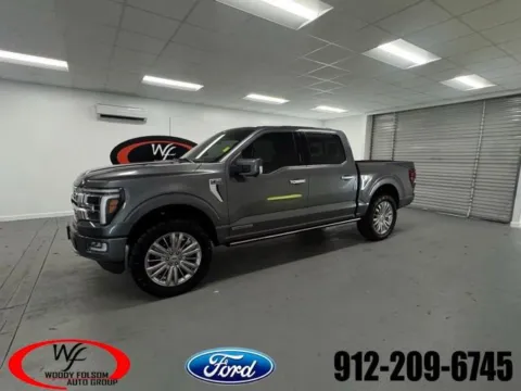 Gray 2024 Ford F-150 Platinum for sale in Baxley, GA