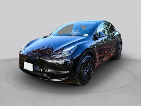White 2025 Tesla Model Y Long Range for sale in Baxley, GA