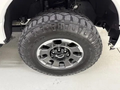 More photos of 2024 Ford Super Duty F-250 SRW Platinum at Woody Folsom Ford, GA