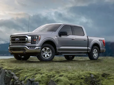 Silver 2021 Ford F-150 LARIAT for sale in Baxley, GA