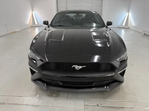 Photos of 2019 Ford Mustang EcoBoost Premium for sale in Baxley, GA at Woody Folsom Ford