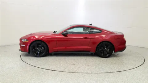 More photos of 2023 Ford Mustang EcoBoost Premium at Tom Gill Chevrolet, KY