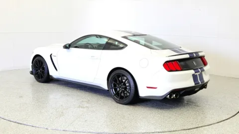 More photos of 2016 Ford Mustang Shelby GT350 at Tom Gill Chevrolet, KY