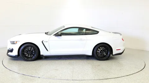 More photos of 2016 Ford Mustang Shelby GT350 at Tom Gill Chevrolet, KY