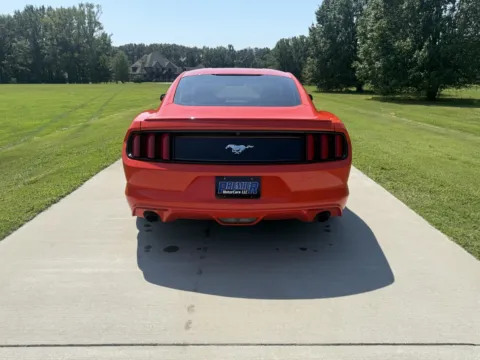 More photos of 2015 Ford Mustang at Premier MotorCars LLC, AR