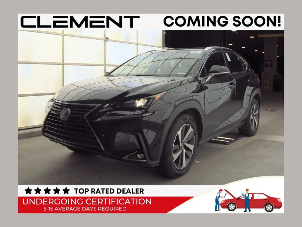 Black 2019 Lexus NX 300 Base for sale in St. Charles, MO