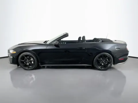 More photos of 2019 Ford Mustang EcoBoost at Clement Supercenter, MO