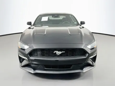 Photos of 2021 Ford Mustang EcoBoost for sale in St. Charles, MO at Clement Supercenter