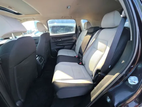 More photos of 2026 Honda CR-V EX at Clement Supercenter, MO