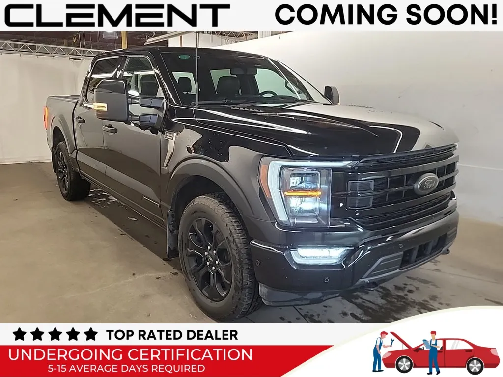 Black 2023 Ford F-150 Platinum for sale in St. Charles, MO