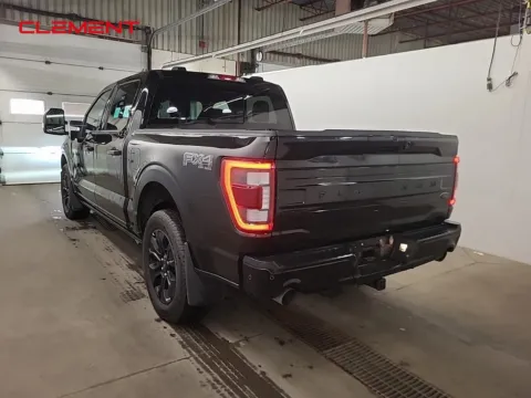 More photos of 2023 Ford F-150 Platinum at Clement Supercenter, MO