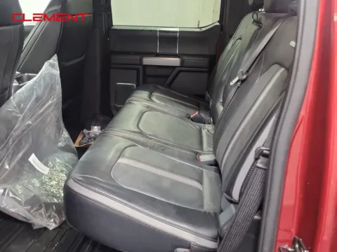 More photos of 2019 Ford F-250SD Platinum at Clement Supercenter, MO