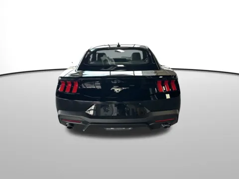 More photos of 2026 Ford Mustang EcoBoost Premium at Bud Clary Auburn CDJR, WA