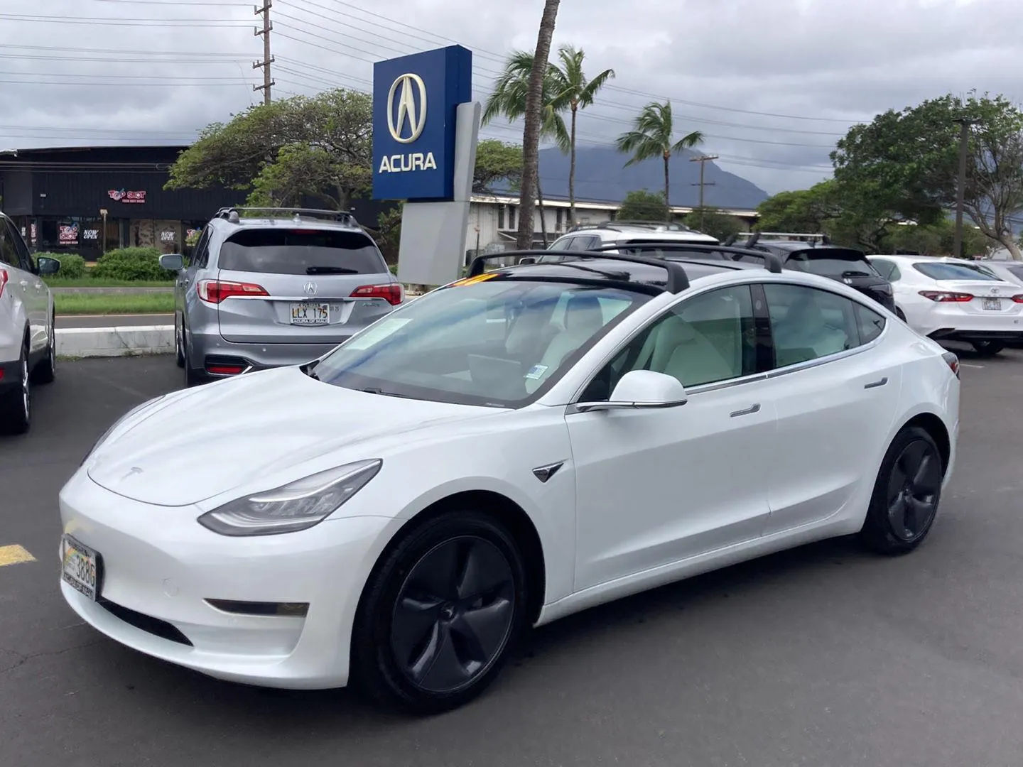 Blue 2020 Tesla Model 3 Standard Range Plus for sale in Kahului, HI