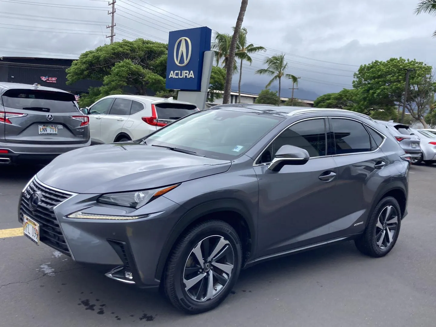 Gray 2021 Lexus NX 300h for sale in Kahului, HI